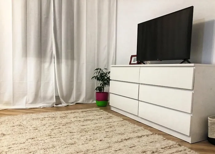 Brancusi Apartment